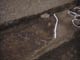 FileNo.095-083.jpg