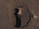 FileNo.095-084.jpg