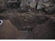 FileNo.095-085.jpg