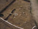 FileNo.095-088.jpg