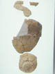 FileNo.095-120.jpg