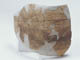 FileNo.095-124.jpg