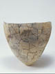 FileNo.095-130.jpg