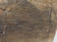 FileNo.095-143.jpg