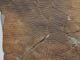 FileNo.095-145.jpg