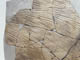 FileNo.095-147.jpg