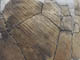 FileNo.095-149.jpg