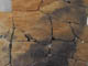 FileNo.095-150.jpg