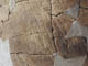 FileNo.095-153.jpg