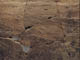 FileNo.095-155.jpg