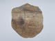 FileNo.095-163.jpg