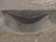 FileNo.096-025.jpg