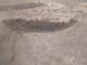 FileNo.096-026.jpg