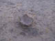 FileNo.096-036.jpg