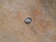 FileNo.096-038.jpg
