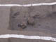 FileNo.096-042.jpg