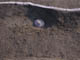FileNo.096-043.jpg
