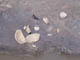 FileNo.096-048.jpg