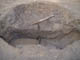 FileNo.096-049.jpg