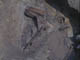 FileNo.096-050.jpg