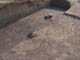 FileNo.096-067.jpg