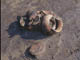 FileNo.096-068.jpg