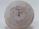 FileNo.096-099.jpg