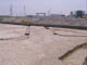 FileNo.097-002.jpg
