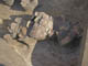 FileNo.098-014.jpg