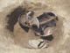 FileNo.098-021.jpg