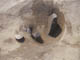 FileNo.098-022.jpg