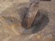 FileNo.098-048.jpg