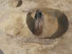 FileNo.098-051.jpg