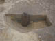 FileNo.098-052.jpg
