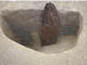FileNo.098-054.jpg