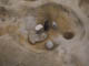 FileNo.098-056.jpg