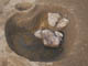 FileNo.098-057.jpg