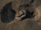 FileNo.098-058.jpg