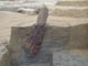 FileNo.098-061.jpg