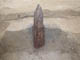 FileNo.098-062.jpg