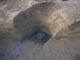 FileNo.098-067.jpg