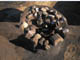 FileNo.098-072.jpg