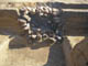 FileNo.098-081.jpg