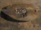 FileNo.098-084.jpg
