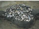 FileNo.098-087.jpg