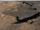 FileNo.098-091.jpg