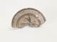 FileNo.098-190.jpg