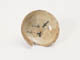 FileNo.098-210.jpg