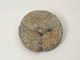 FileNo.098-237.jpg