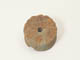 FileNo.098-239.jpg